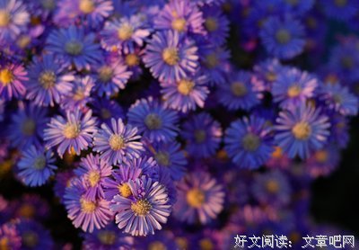 15条关于返璞归真的经典语句