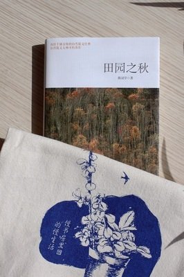 15条关于陈冠学的经典语句
