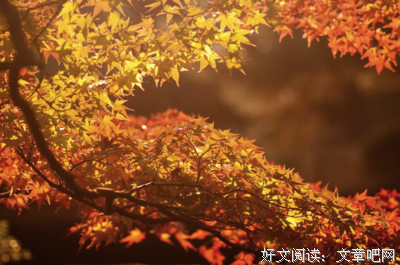 最新的简媜15句经典名言