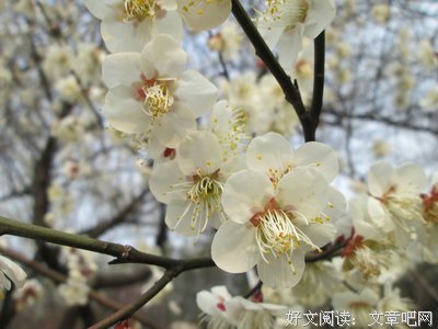 你是我不想再见面的人。
