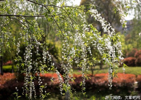 《血色童话》读后感10篇