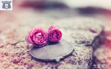 你的人品，决定你的前途