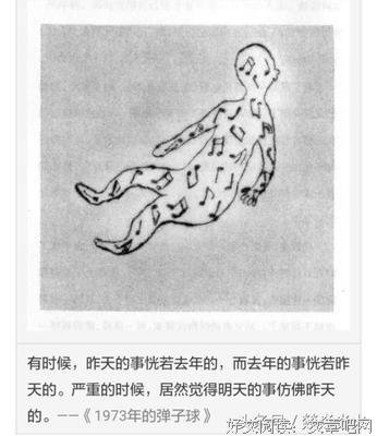 2017柴鸡蛋经典语录