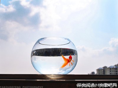 君千场的名句_关于君千场的名句