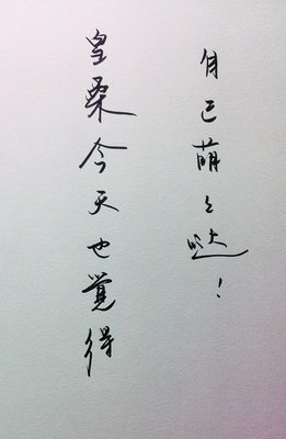 15条关于丽莎的经典语句