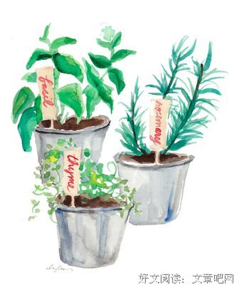 最新的蔡依林经典名句