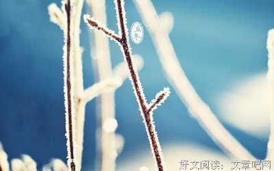 最全的庄心妍名言大全