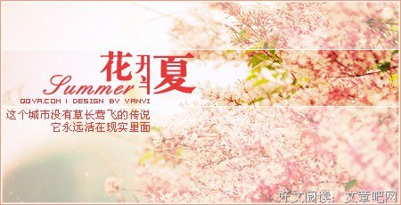 最新的《花开半夏》经典句子