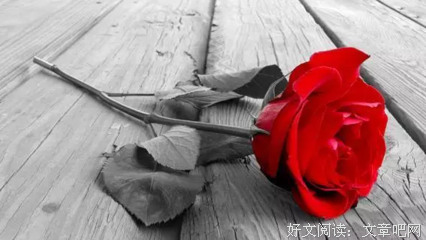 关于宠旧爱陆的名言