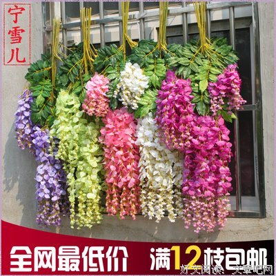 15条关于藤花的经典语句