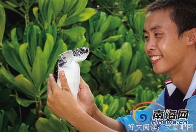 秋招小海龟求出谋划策！这几家公司我该选谁...?