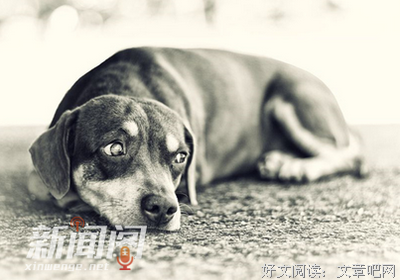 人害怕独处的三个原因