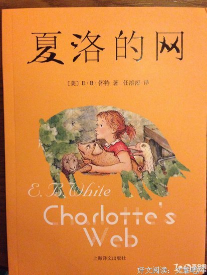 尽余生经典读后感10篇