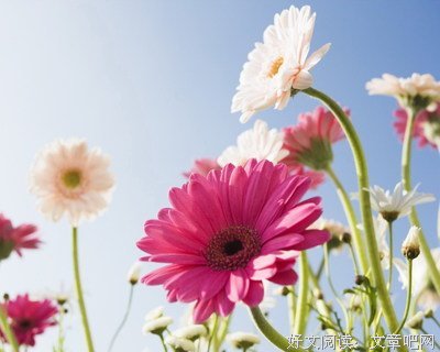多发的句子