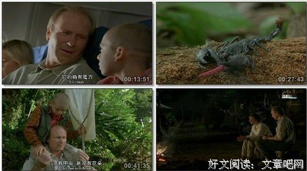 最全的蓝蝴蝶zy经典名句