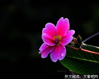 《孟子》好段摘抄大全