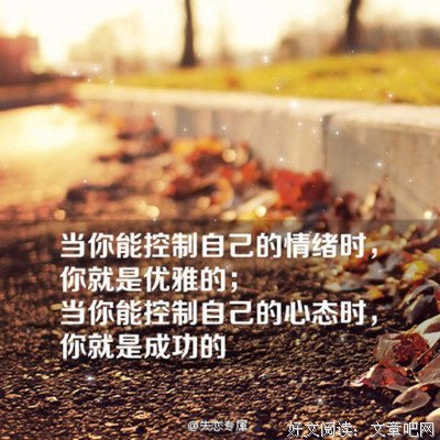 15条关于酸腐的经典语句