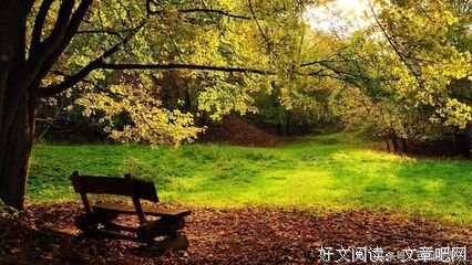 生于1982，属狗，我今年36了