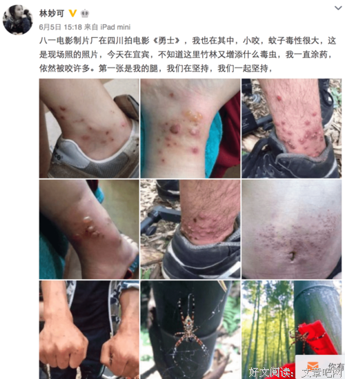 《毒虫》经典观后感10篇