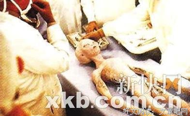 《罗斯维尔 第一季》经典观后感10篇