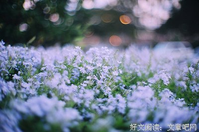 有些人说不清哪里不好，但就是将就不了