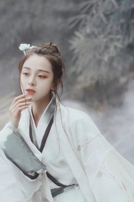 关于罗衫轻的格言