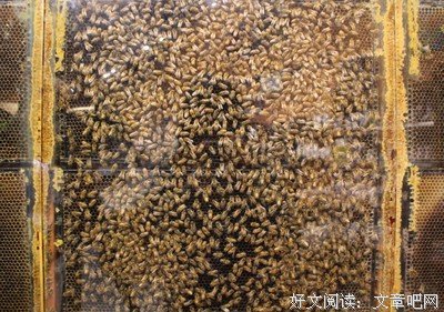 2017左壮经典名句