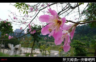 描写百媚千娇的经典句子