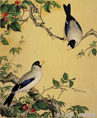 关于梅郎的格言