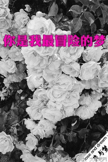 健忘的句子