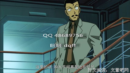 《名侦探柯南：水平线上的阴谋》的观后感10篇