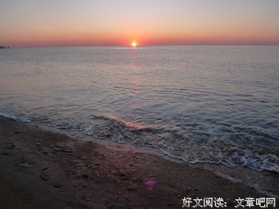 《沧海Ⅵ》的读后感10篇