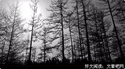 2017朱生豪15句经典名言