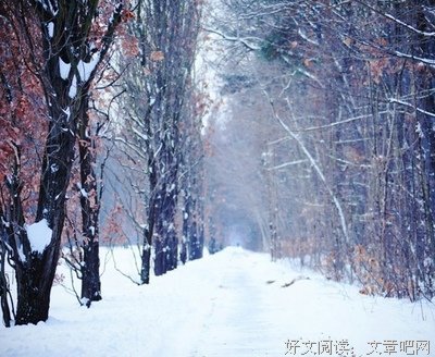 笨重的语句摘抄_关于笨重的语句