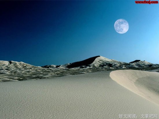 最全的《第二春》好段摘抄大全