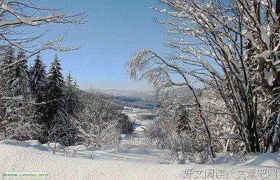 最全的《最后14堂星期二的课》经典的句子