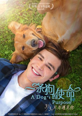 《第25小时》好看吗？经典观后感10篇
