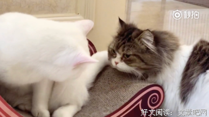 男朋友能宠你到哪一步？
