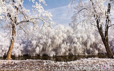 最新的《黄帝内经》经典的句子