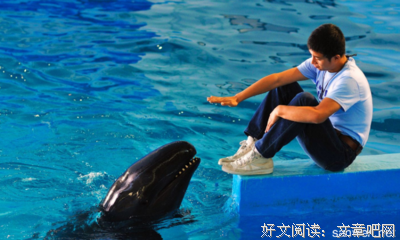 《划向大海》经典观后感10篇