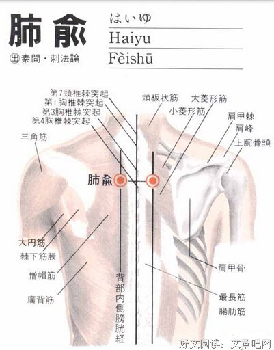 位置