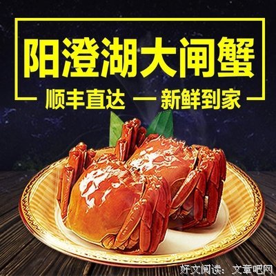 六月，会有西风吗？