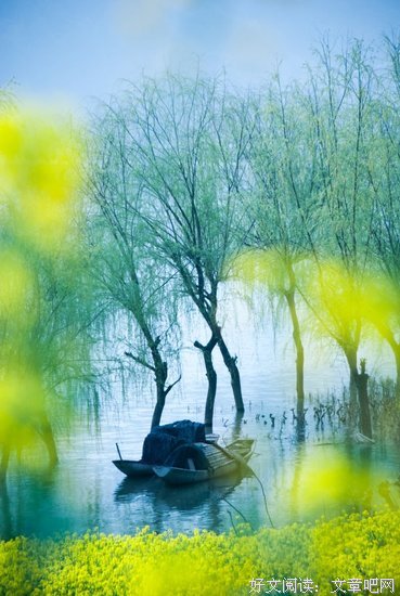 《你是锦瑟，我为流年》语录摘抄