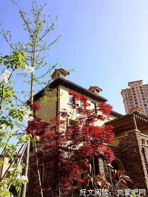 味从山海：CBD的忙里偷闲和艺术洗礼。