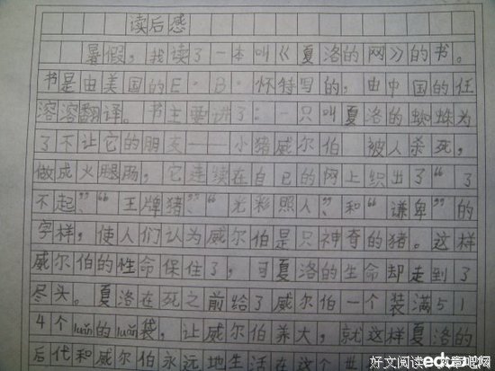 《我为什么看不懂你》读后感10篇