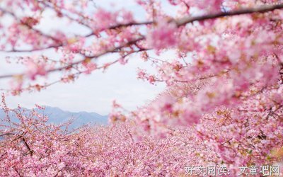 有关坦诚相待的美句摘抄