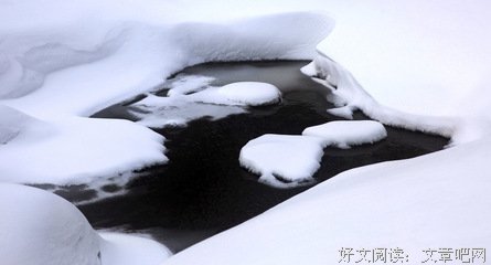 描写里克的语句摘抄