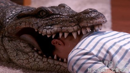 “我老婆每天都在家里装死”