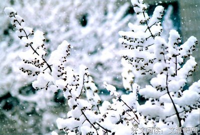《摄手记》经典读后感10篇