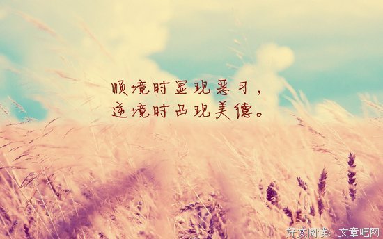 关于德·蒙哥玛丽的唯美语录